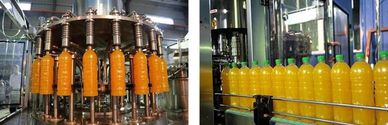 Fresh Juice Full Automatic Production Line