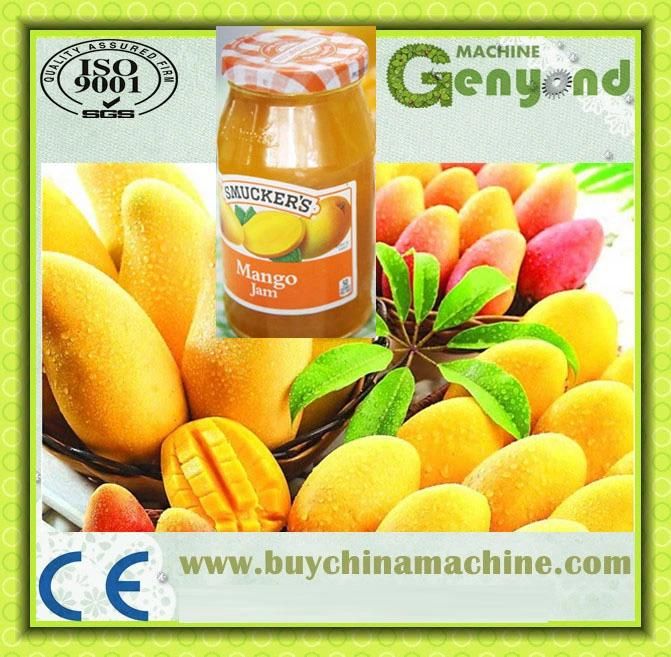 Professional Automatic Mango Jam Production Line