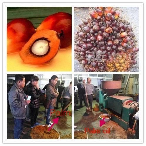 Guangxin Brand High Quality Sunflower Pumpkin Seed Oil Expeller