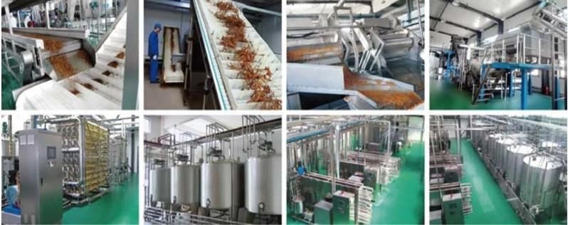 Weishu Juice Vegetable Processing Machine for Juice Production Line