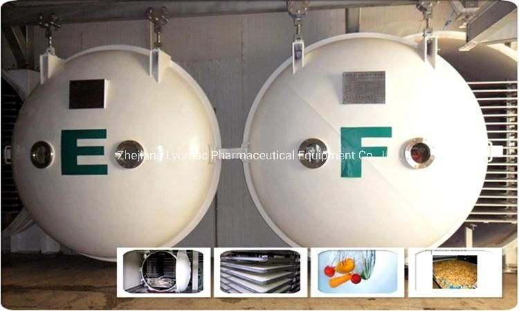 Good Quality Fruit Freeze Drying Machine / Freeze Drying Machine