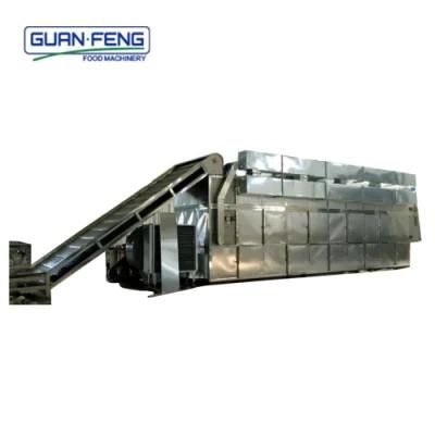 Hot Sale Belt Dryer Equipment for Kiwi Fruit