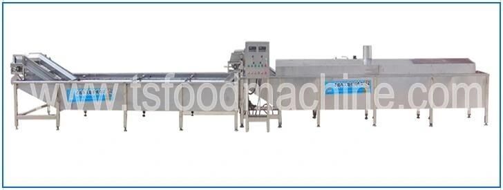 Automatic Continuous Cooking Machine and Blancher Machine for Banana and Plantain