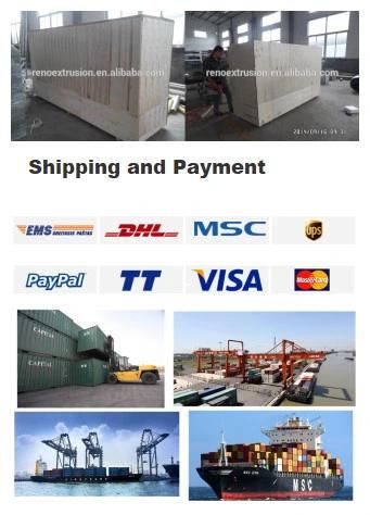 ISO Approved Instant Noodle Processing Machinery