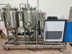 Mini Unitank or Small Fermenters for Home Brewhouse