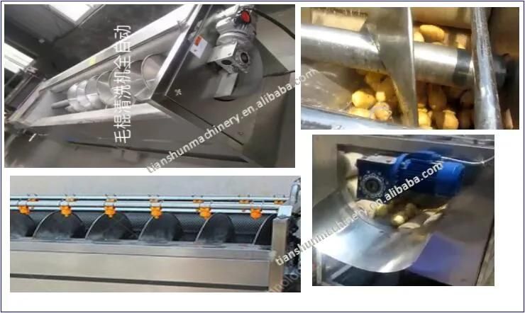 Potato Washing Machine and Continuous Potato Peeler