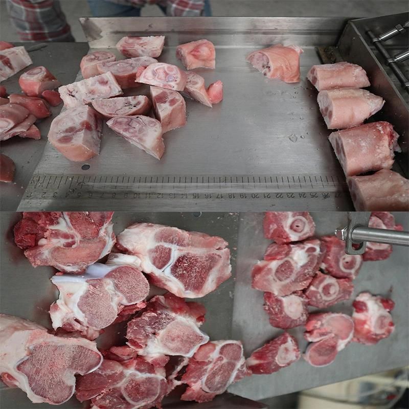 Frozen Meat Bone Saw Cutting Meat Cubes Cutter Equipment