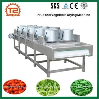 Fruit and Vegetable Drying Machine