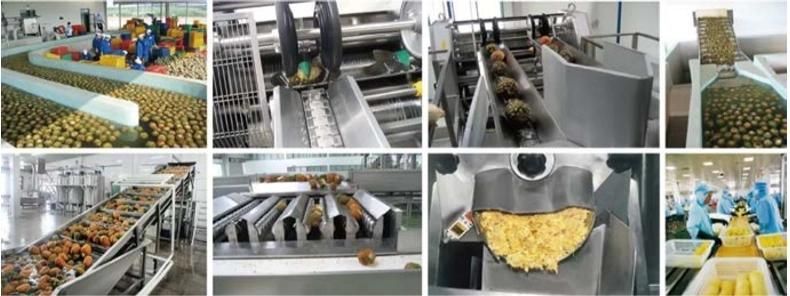 Full Automatic Fresh Juice Making Machine Juice Production Line