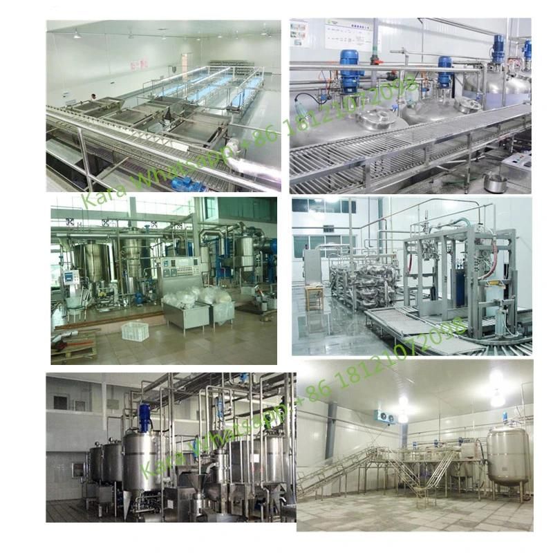 Fruit Juice and Vegetable Juice Production Line