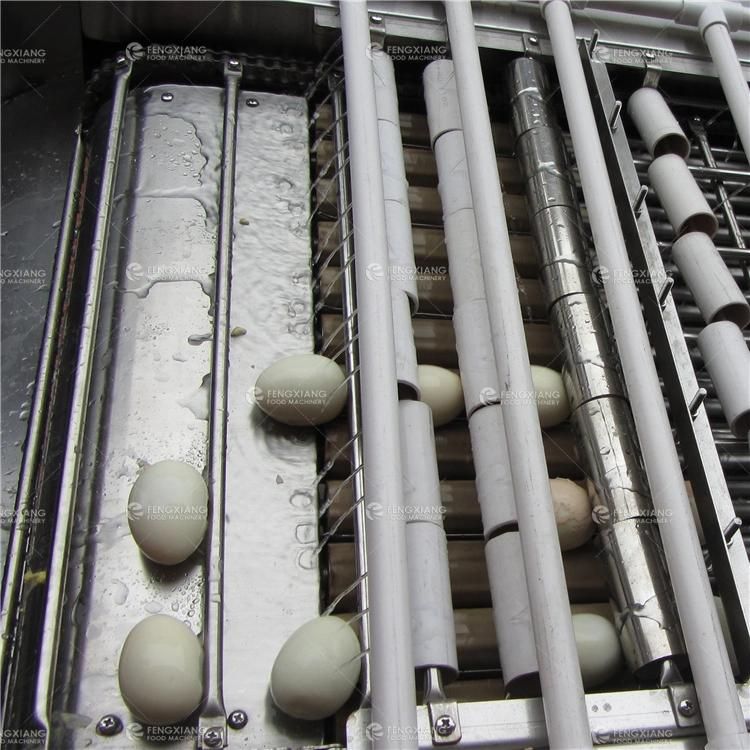 FT-200 Hen Egg Shelling Machine