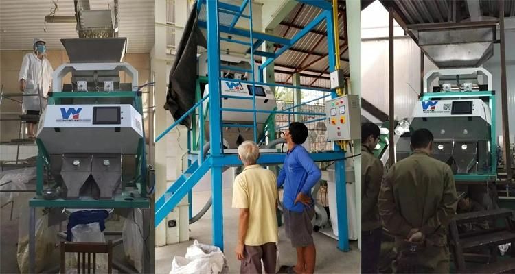 Tea Color Separation Machine for Sorting Black Tea