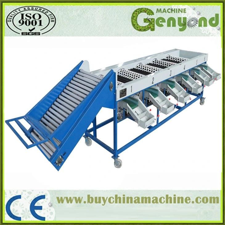 Orange Washing Waxing Size Sorting Machine