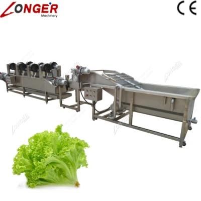 Stainless Steel Automatic Herb Lettuce Washing Machine