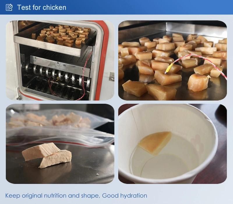 Lfd-10A Laboratory Uses Small Capacity Vacuum Freeze Dryer