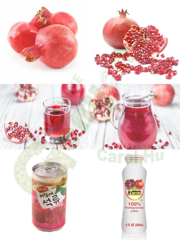 Pomegranate Juice Concentrate Making Peel Extract Processing Production Line