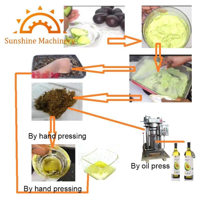 Small Mini Avocado Oil Press Making Extraction Machine