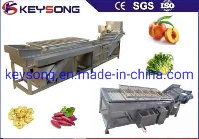 Leafy Greens Food Processing Equipment Bubble Washer