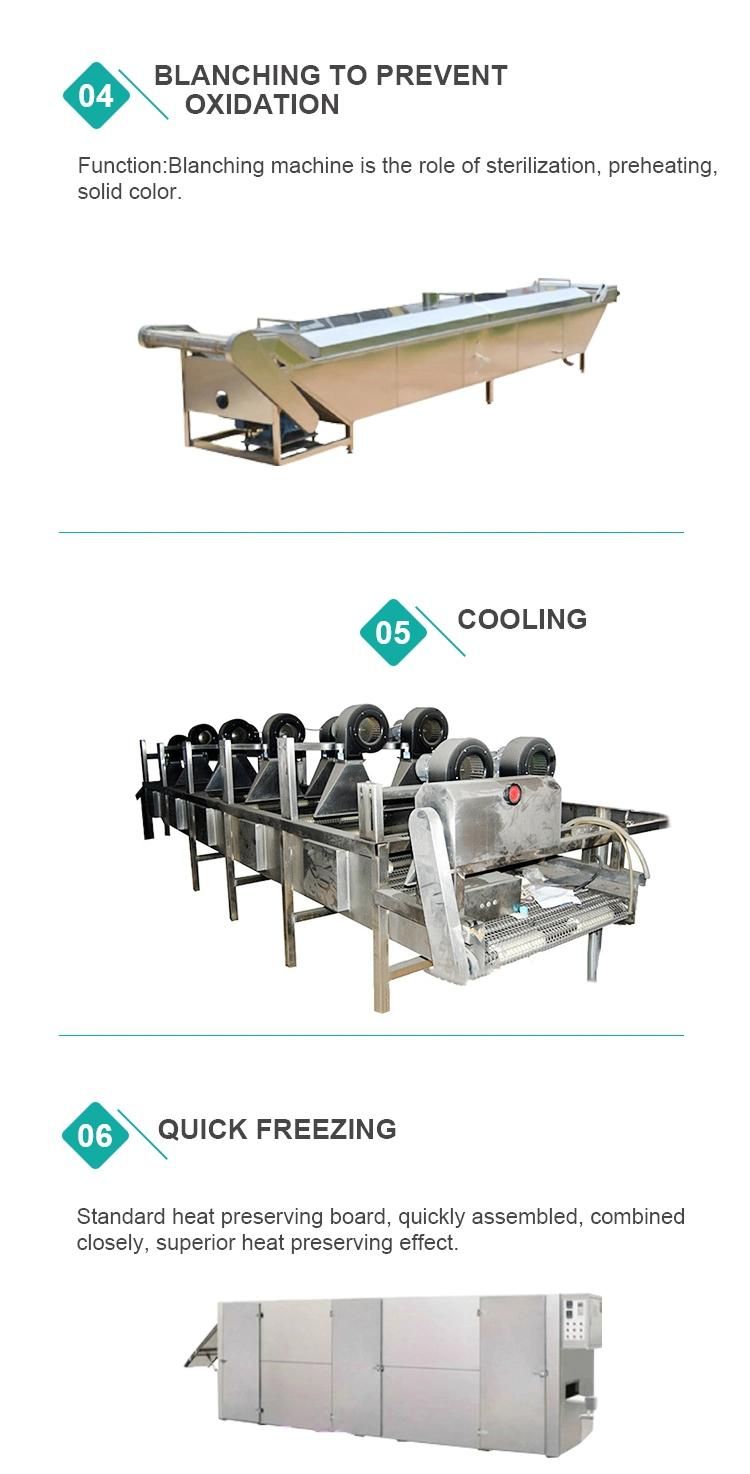 Food Machinery Vegetable Fruit Washing Cutting Blanching Drying Machine