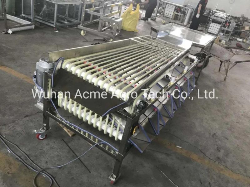 Fruit Apple Sorting Tomato Walnut Dates Grading Machine