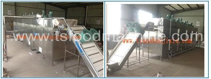 Multi Layer Conveying Belt Fish Dryer and Seafood Drying Machine