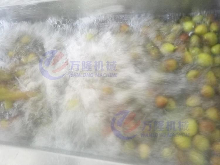 Leaf Vegetable Ozone Bubble Washing Machine Cabbage Tomato Lettuce Ozone Bubble Washer