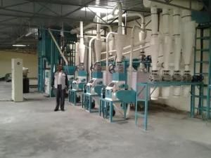 20t Super Fine Maize Flour Making Machine, Mealie Meal Equipment