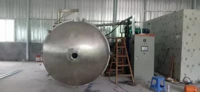 25m2 Vacuum Freeze Dryer Lyophilizer for Vegetables and Fruits Processing