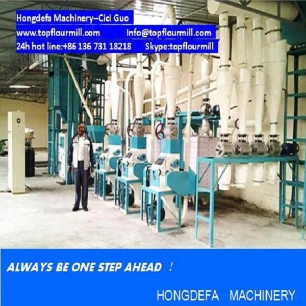 20t Flour Milling Machine China Quality (20tpd)