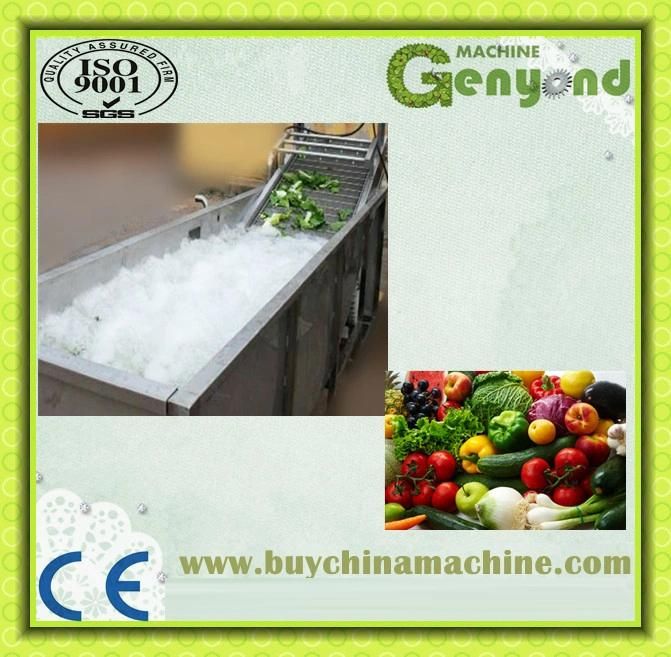 Shanghai Cyperus Nut Washing and Peeling Machine