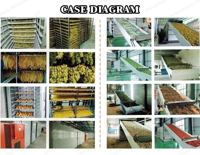 Commercial Heat Pump Vegetable Fruit Sea Food Fish Tea Drying Dryer Oven Dehydrating Machine