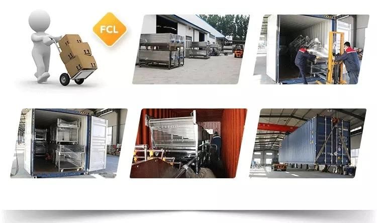 2019 New Poultry Slaughtering Equipment for Chicken Farm Abattoir Processing Line Machine