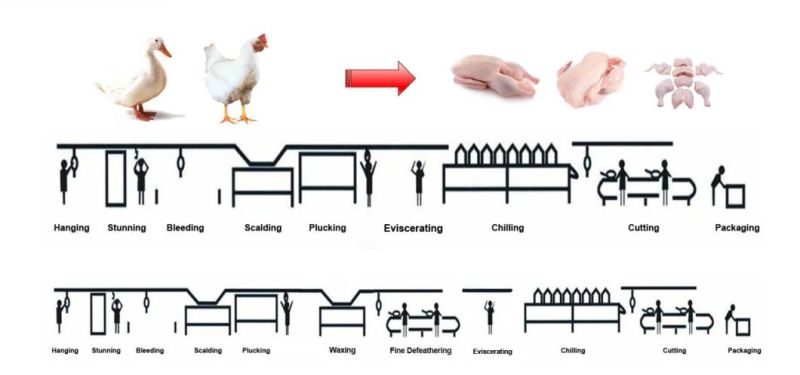 Automatic Poultry Slaughtering Equipment Chicken Deboning Machine