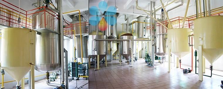 Henan Huatai Professional Engineers Support Rice Bran Oil Equipment Line