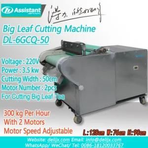 Big Leaf Cutting Machine with 2 Adjustable Speed Motors Dl-6gcq-50