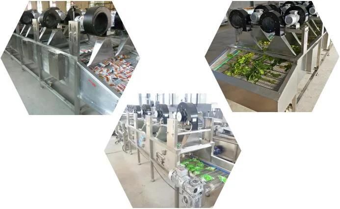 Belt Type Vegetable and Fruit Tunnel Fried Chips Freeze Drying Machine