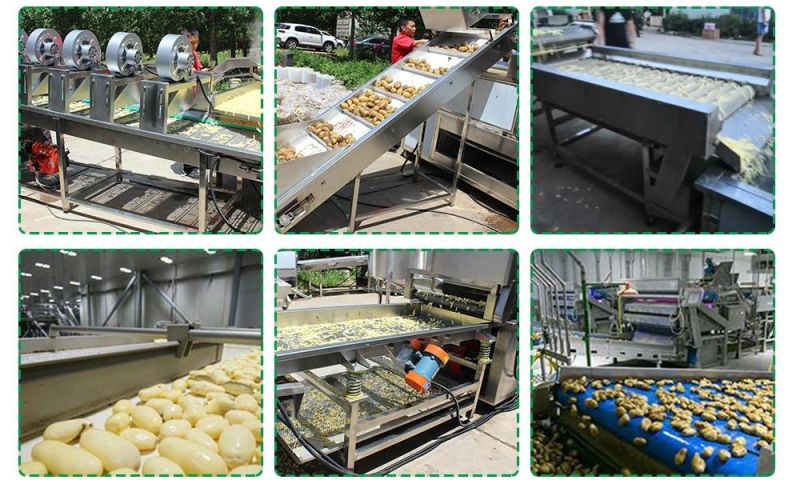 Full Automatic Frozen French Fries Production Line Frozen French Fries Production Line