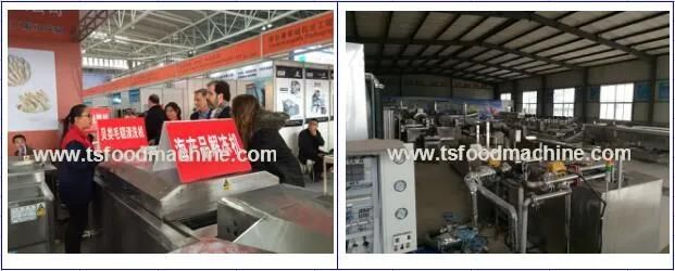 Automatic Chicken Frying Machine Continous Frying System Chicken Fryer