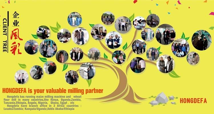 China Hongdefa Factory Maize Milling Maize Mill Maize Grinding Machine