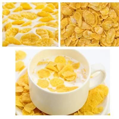 Twin Screw Corn Chips Snacks Flakes Machine Puff Corn Extruder