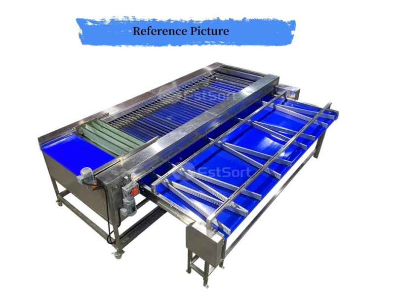 Carrot/Potato/Onion/Cucumber Grading Sorting Machine From China