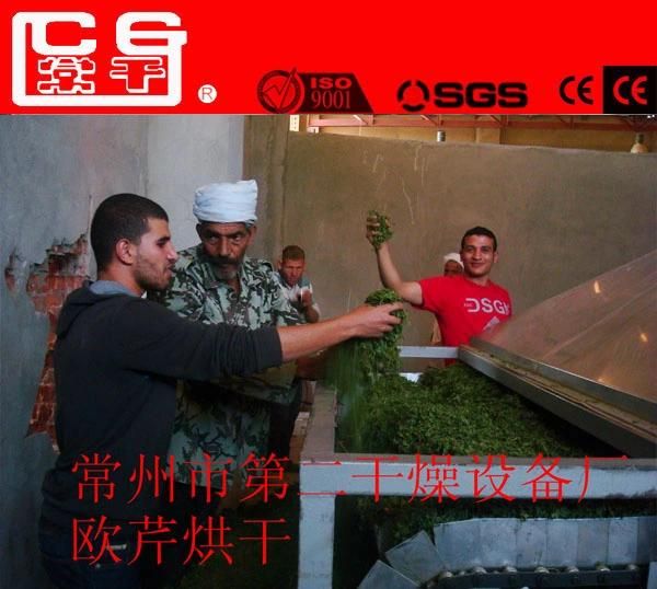 Industrial Hemp Chili Drier Continuous Belt Fruit Dryer Vegetable Drying Machine