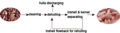 Dehuller Processing Manufacturer Agricultural Machinery Sunflower Shelling Machine