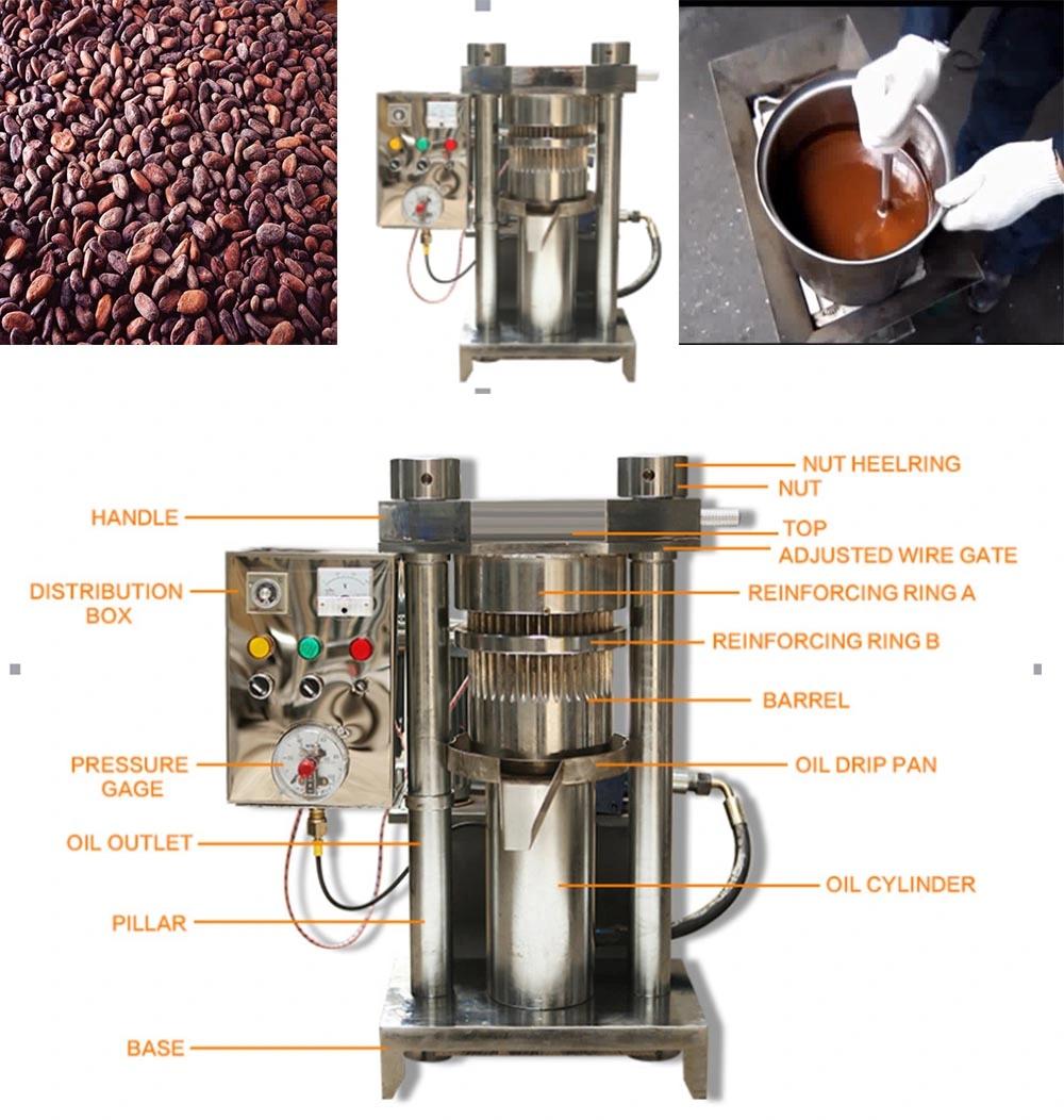 Professional Cocoa Hydraulic Press Almond Oil Hydraulic Cold Press Machine