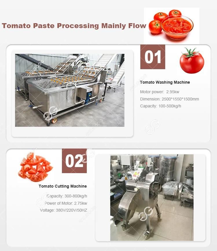 Small Industry Tomato Pasata Tomato Ketchup Plant Line Machine Small Tomato Processing Plant