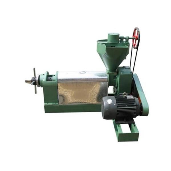 6YL-95 Oil Press 200kg/h Screw Oil Press