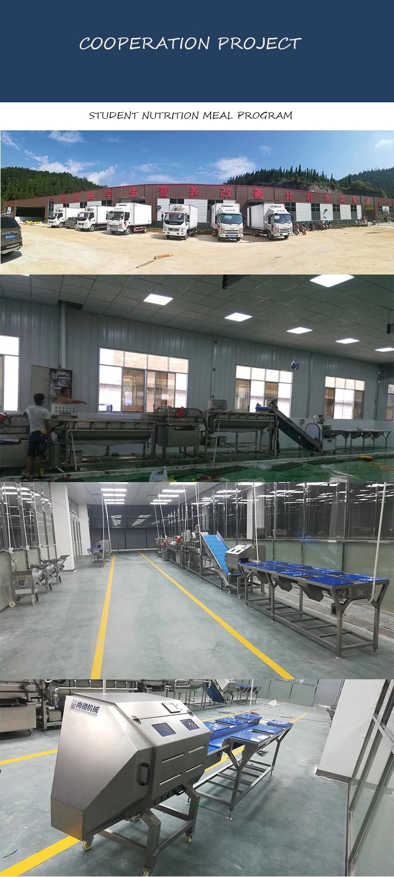 Potato Peeling Cleaning Potato Chips Salad Processing Machine