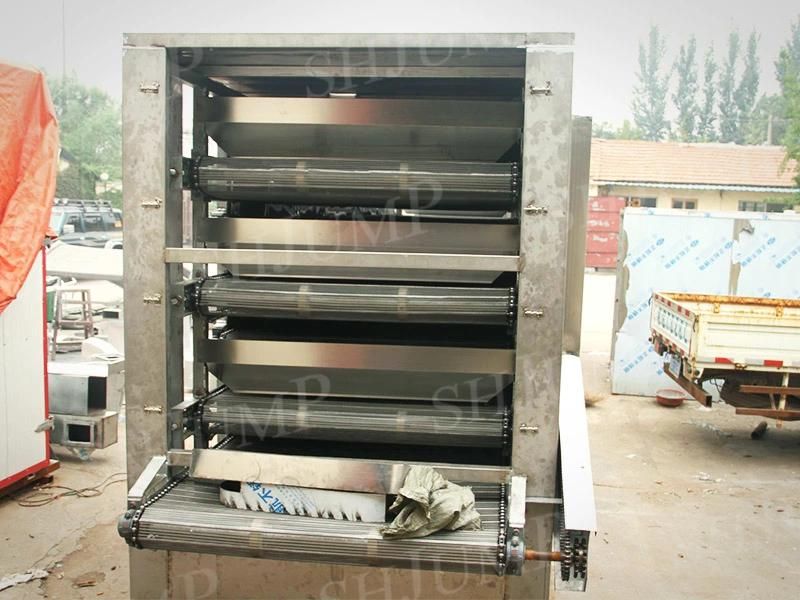 Dried Passion Fruit/Preserved Fruit Processing Line/Production Machine/Fruit Drying Equipment