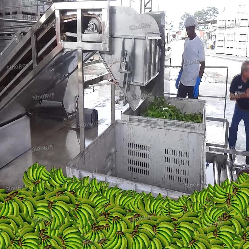 Banana Beer Processing Line/Banana Juice Processing Line/Banana Processing Machine