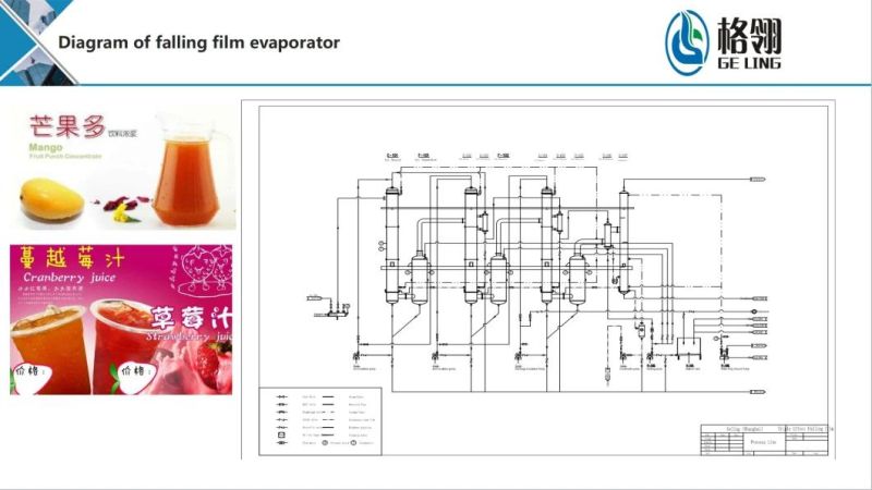 Three Effect Evaporator/Concentrator Falling Film / Forced Circulation Evaporator Ball Type Concentrator Vacuum Decompression Concentrator Scraper Thin Film